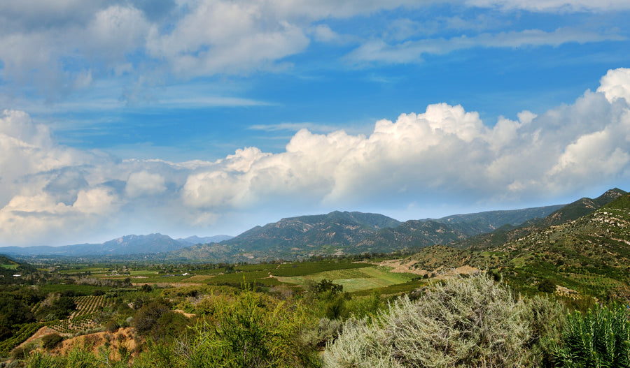 Organic Family Farm - Powering Up The Good – Rainbow Ranch Ojai